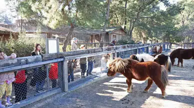 Antalya Doğal Yaşam Parkı’nda 5 Bini Aşkın Öğrenciye 109 Eğitim!